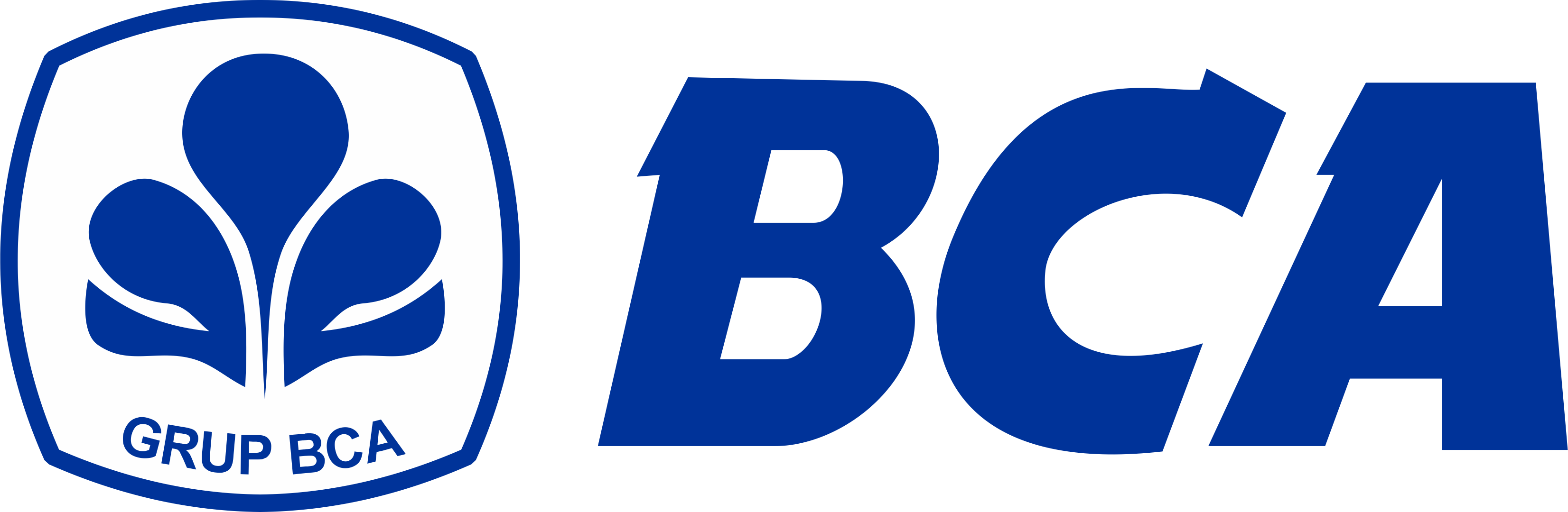 Partner Logo